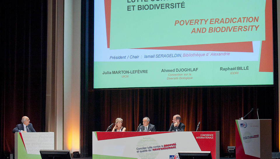 Photo du panel (Conférence Paris 2011)