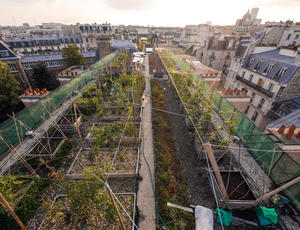 Potager urbain expérimental sur le toit d’AgroParisTech, rue Claude Bernard à Paris (Projet CIPUrA) © Baptiste Gard 2016
