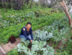 Participante au programme Agrupar dans son jardin urbain © Agrupar