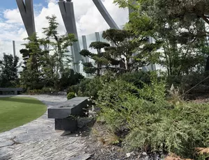 Recréer du lien entre ville et nature par l’architecture