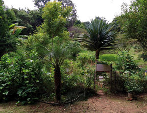 La porte d’entrée de la Horta das Corujas, premier jardin partagé de São Paulo, n’est jamais fermée : tous les citoyens peuvent y accéder 24 heures sur 24 © Gustavo Nagib