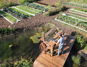 Projet pilote de ferme maraîchère à Lille © Christophe Majani d’Inguimbert