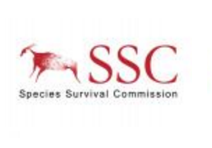 survival