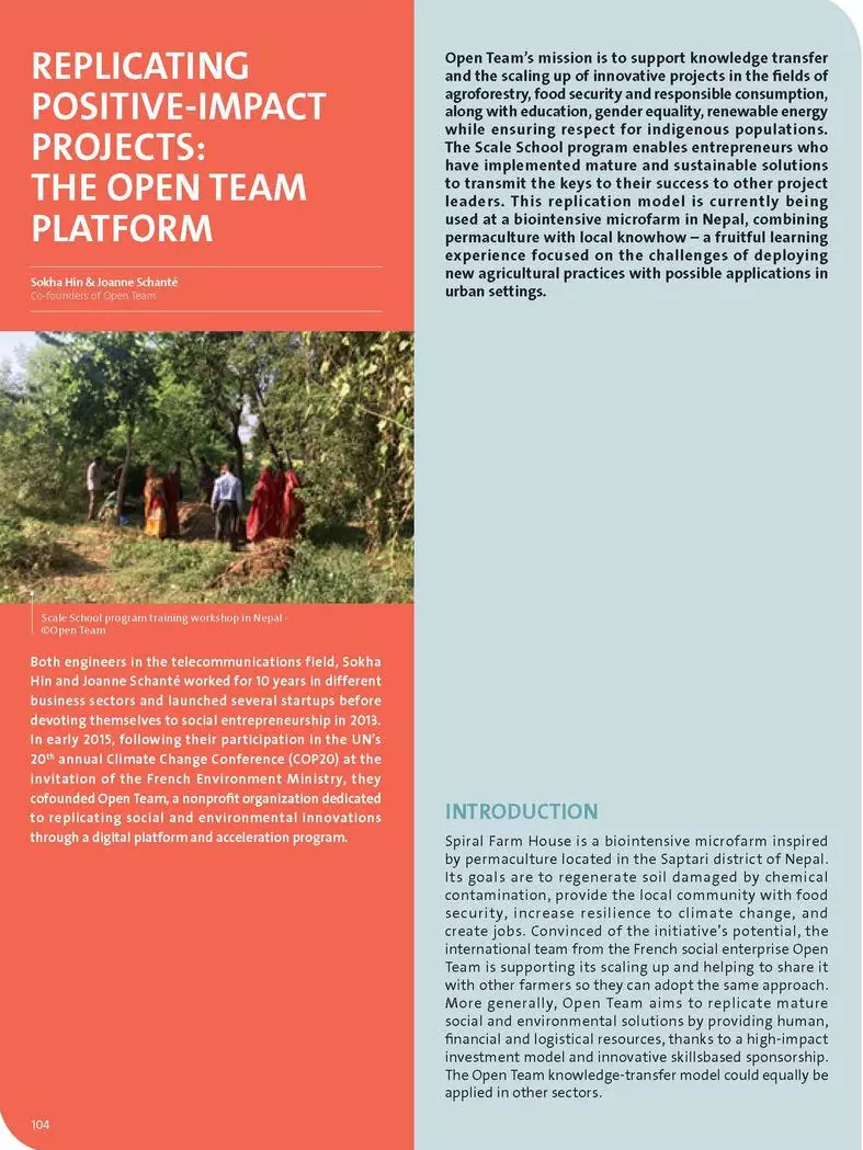 Replicating positive-impact projects: the Open Team platform