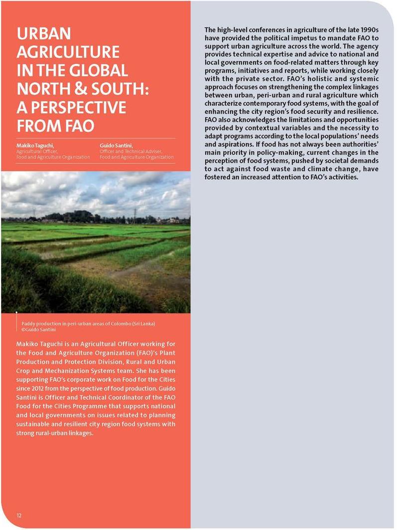 Urban agriculture in the Global North & South: a perspective from FAO
