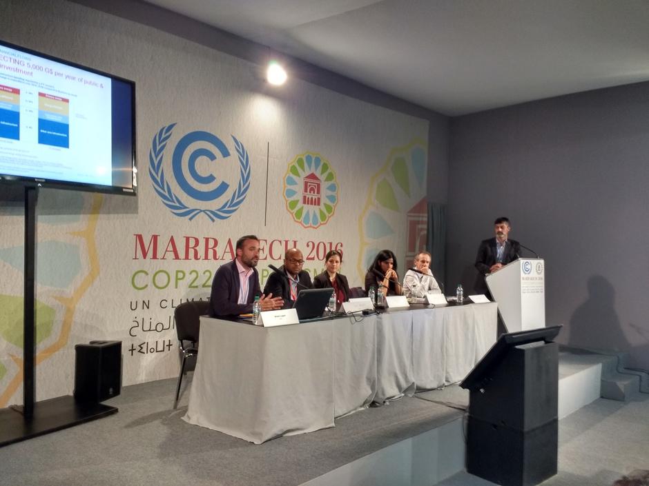 COP 22 - Electrification