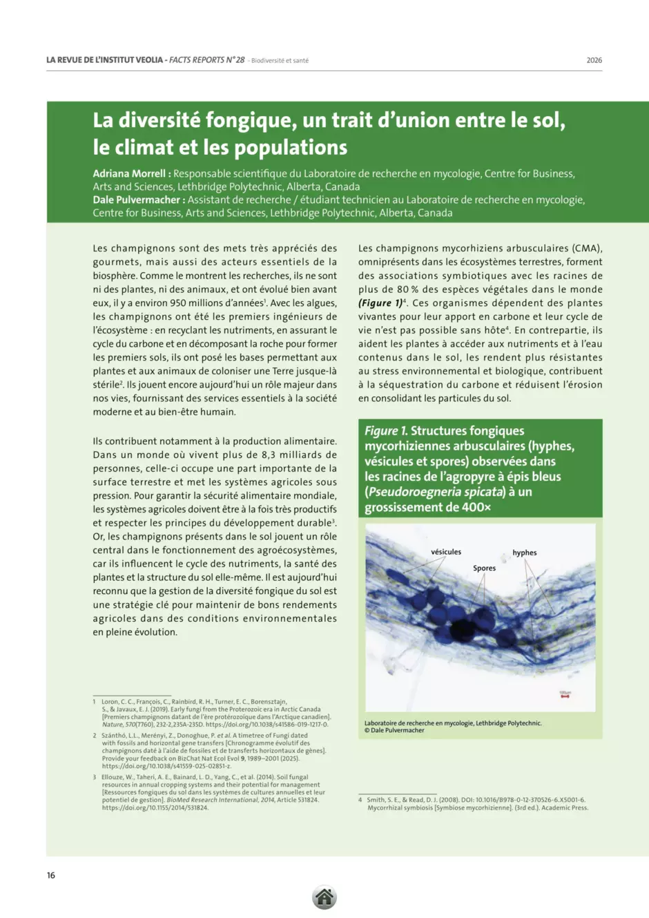 prem page Article 2