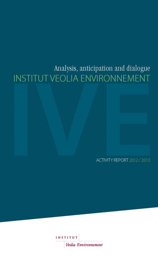 Cover Activity Report 2013-2013