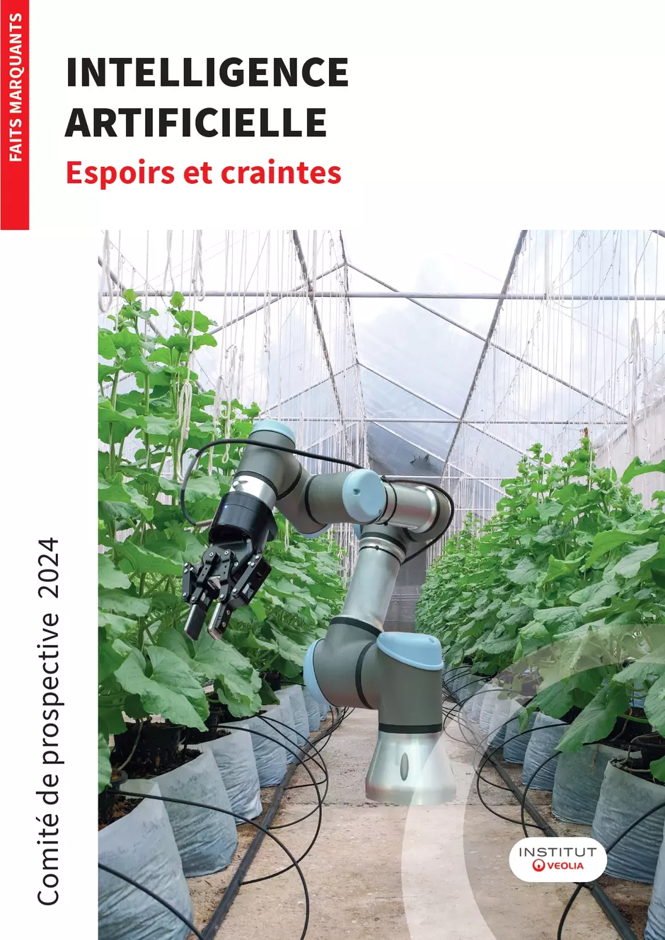 Synthèse du CP 2024