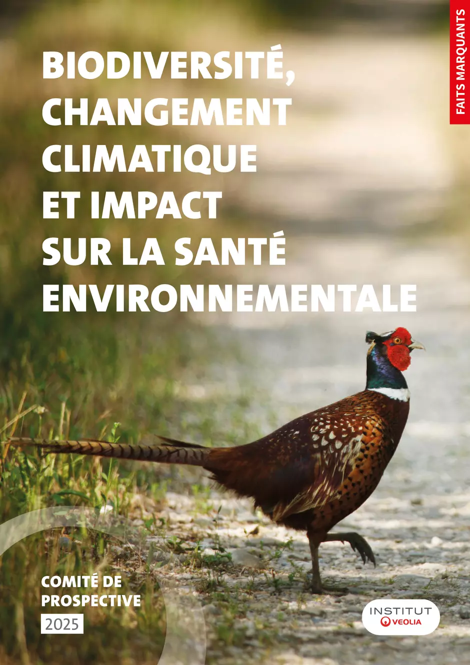 Couverture CP FR